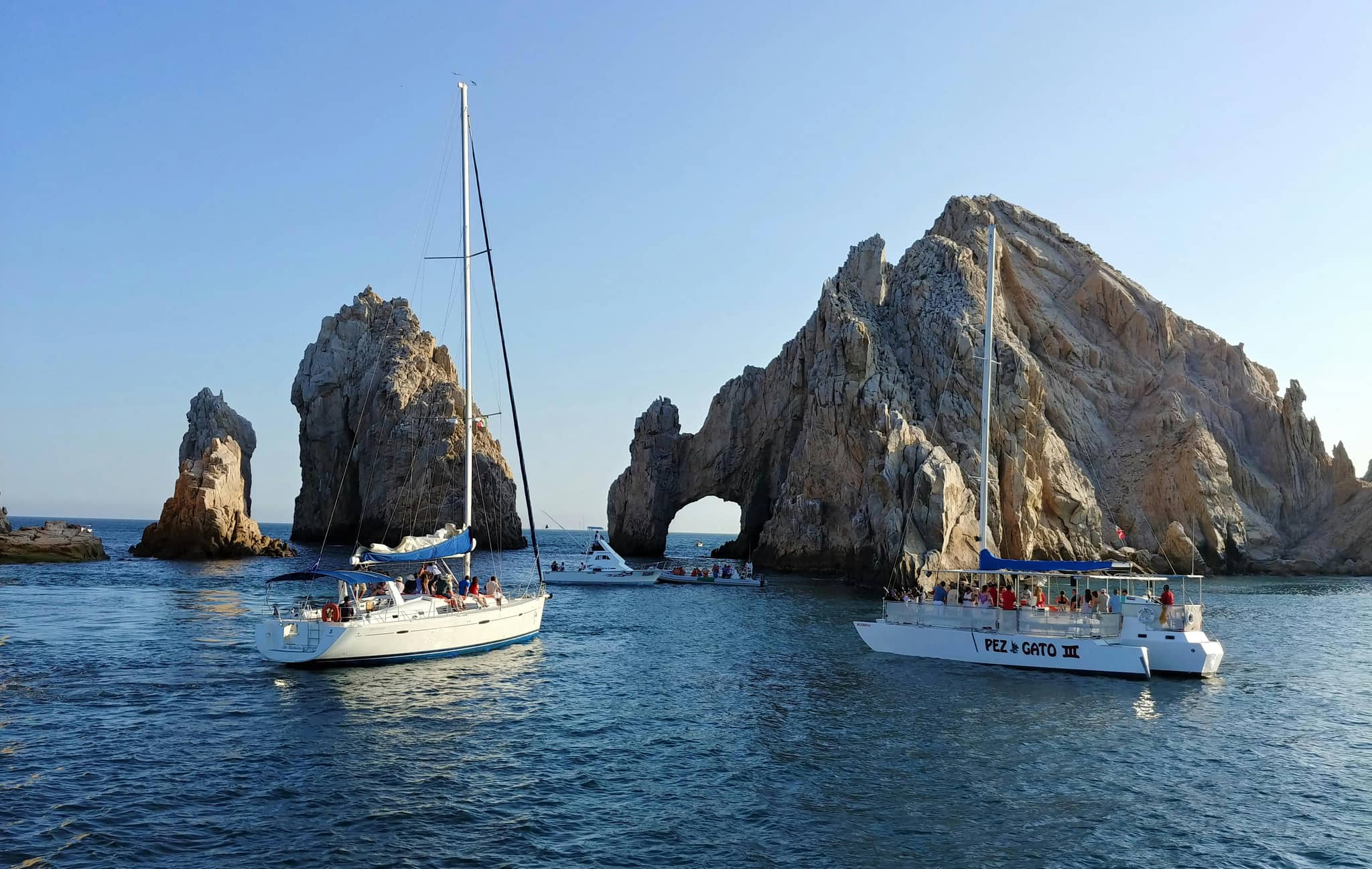 Clear Boat Tours