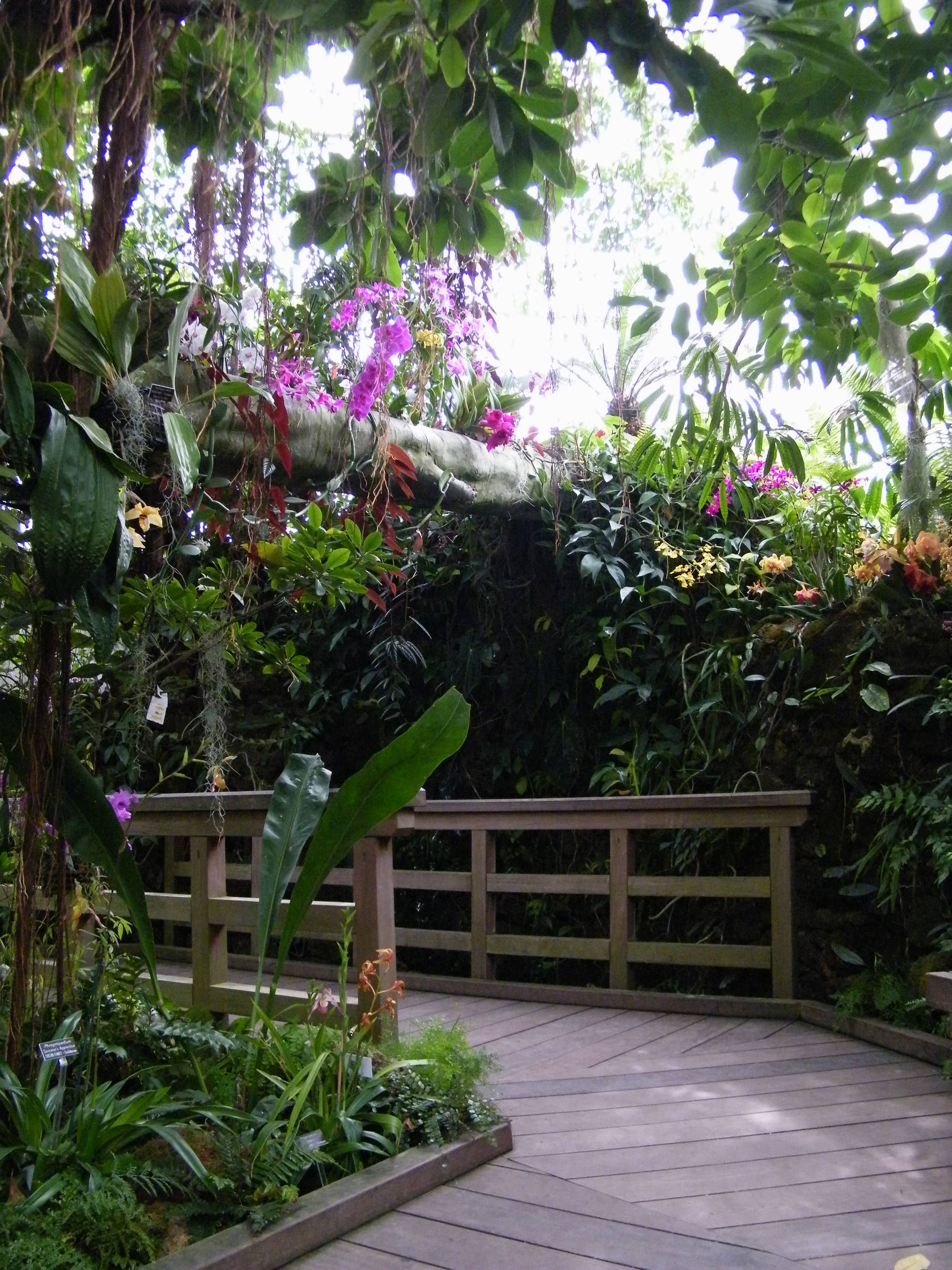 Orchid Room