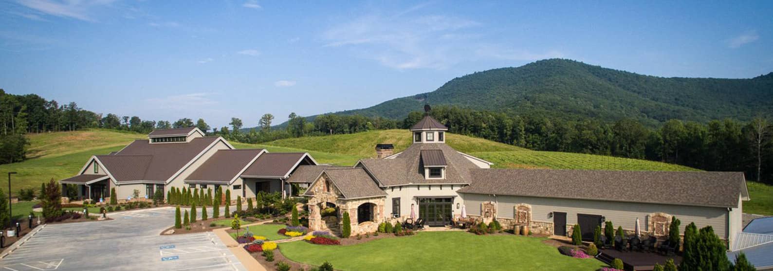 Arabia Mountain Vineyard