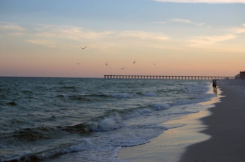 Sunrise & Sunset Spectacles