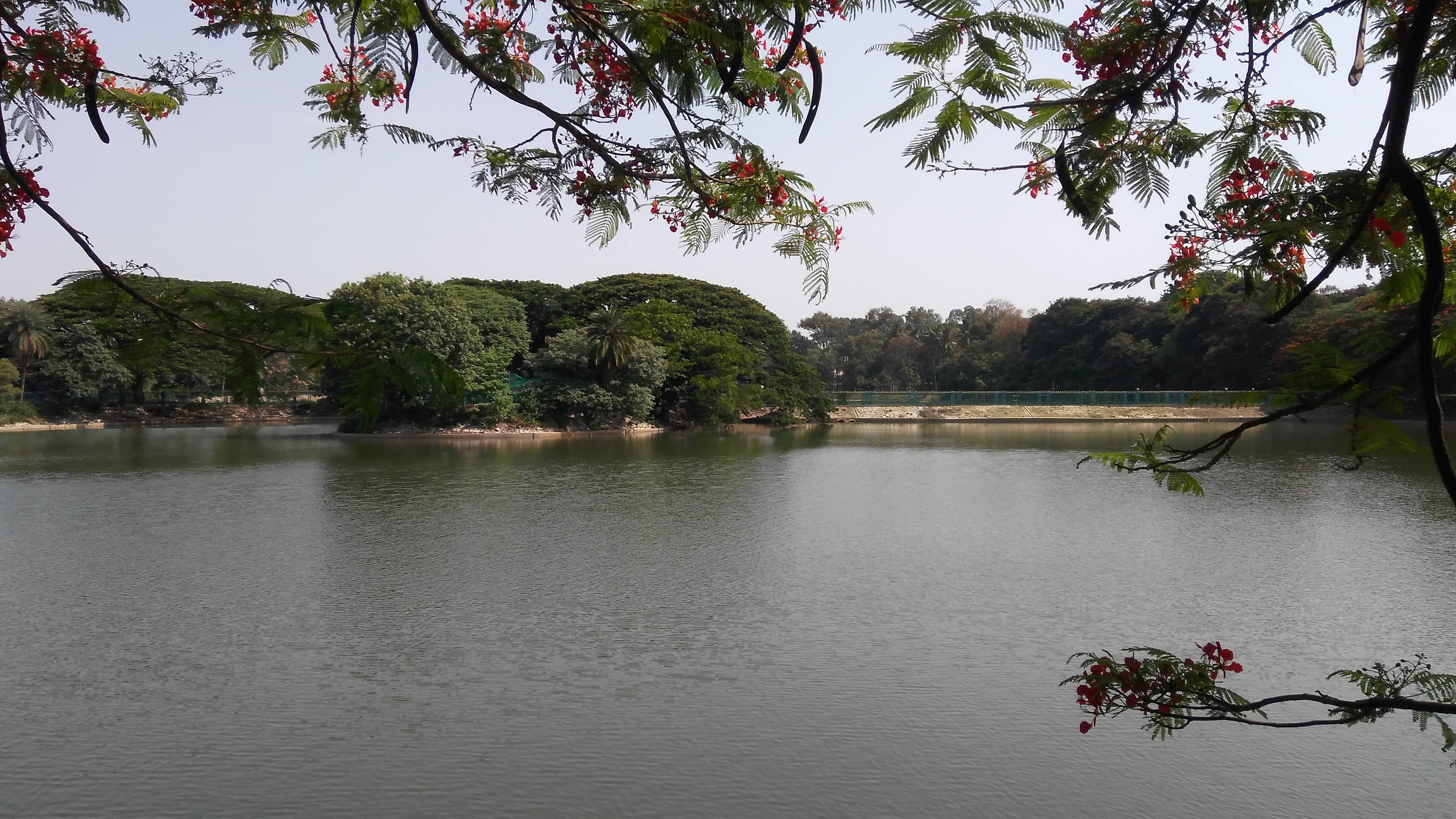 Lalbagh Lake