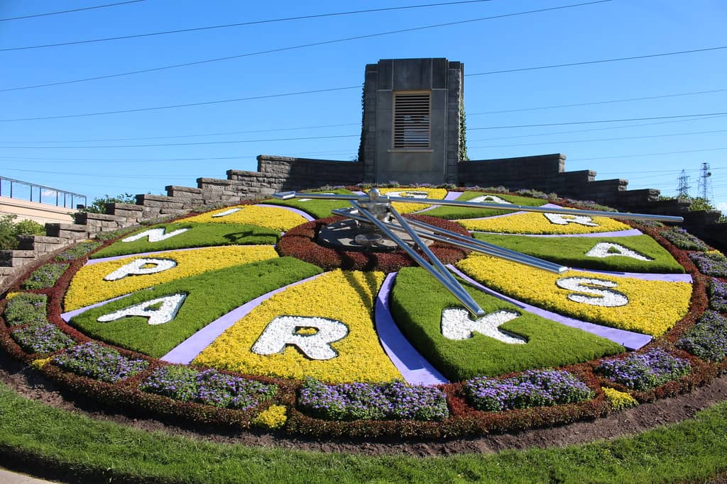 Seasonal Flower Displays