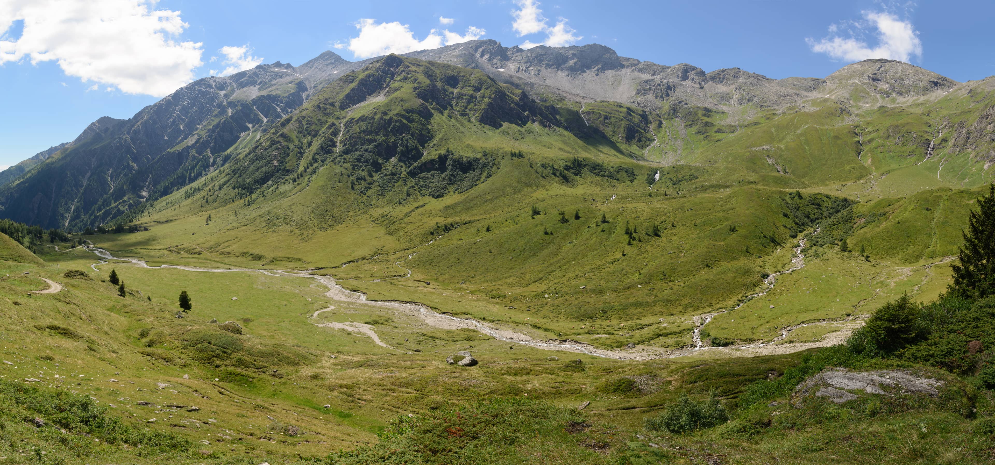 Alpine Pasture Refreshments