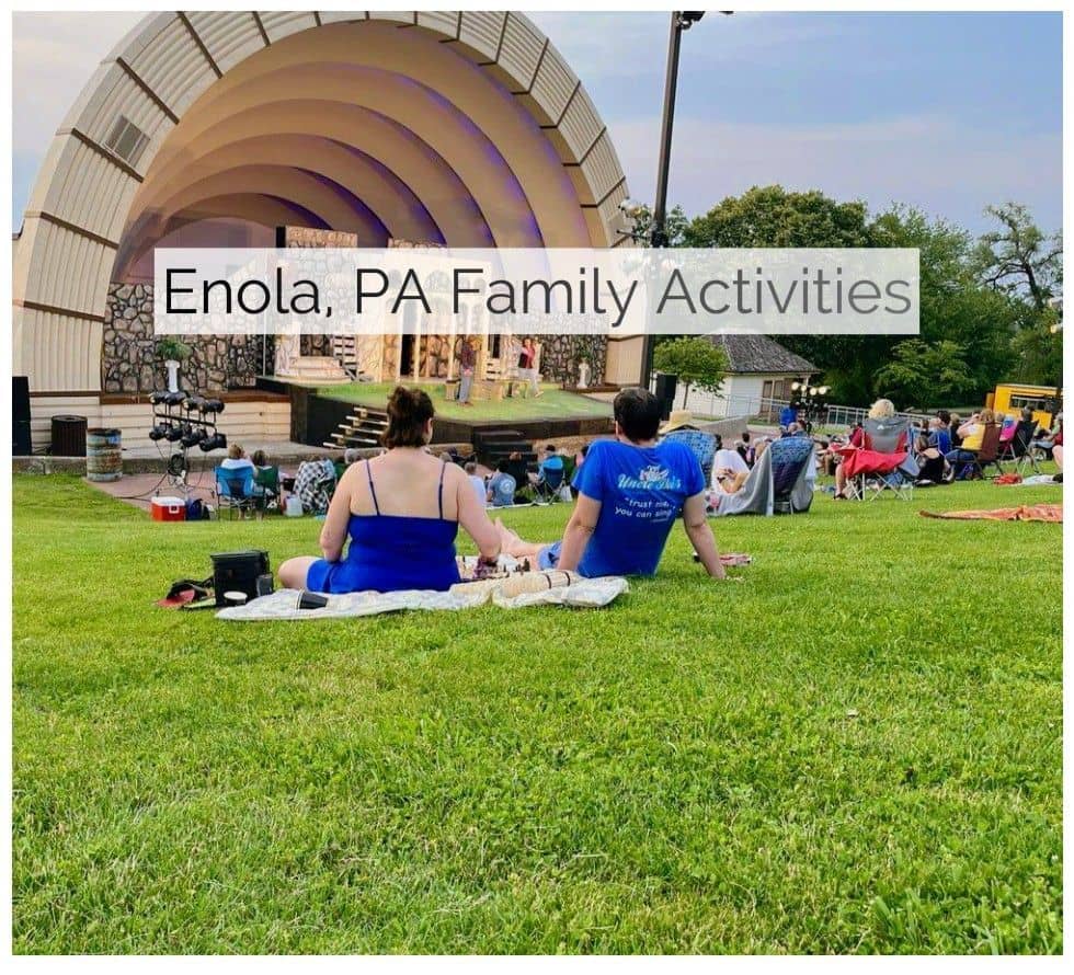 Tranquil Picnic Spot