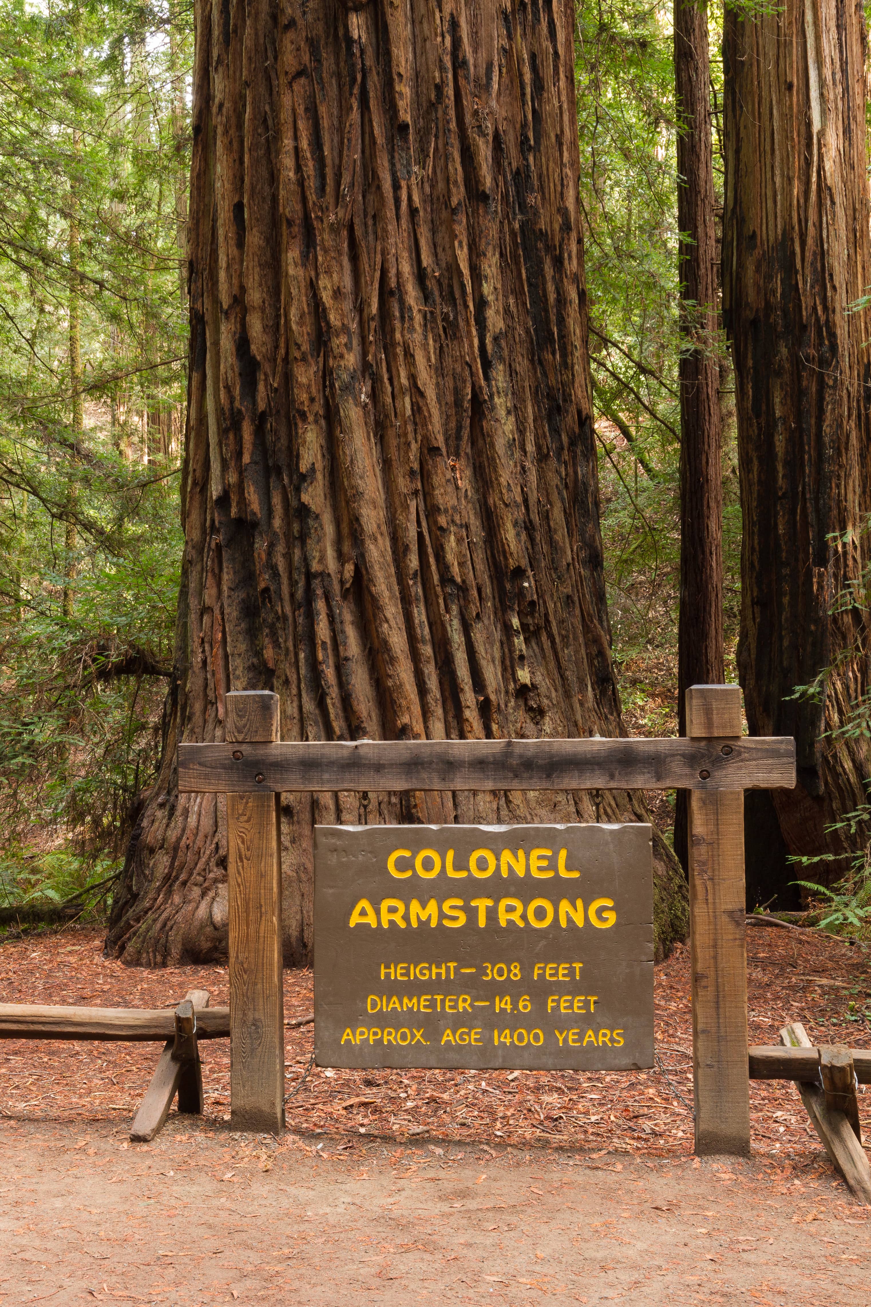Armstrong Redwoods State Natural Reserve