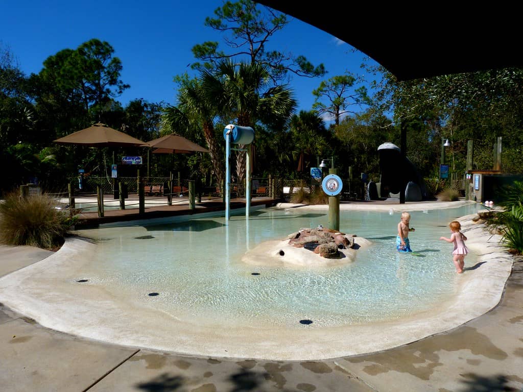 Paws On Water Play Area