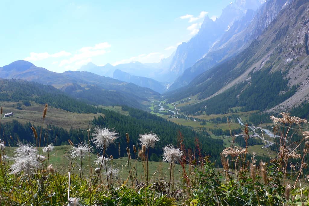 Val Ferret & Val Veny