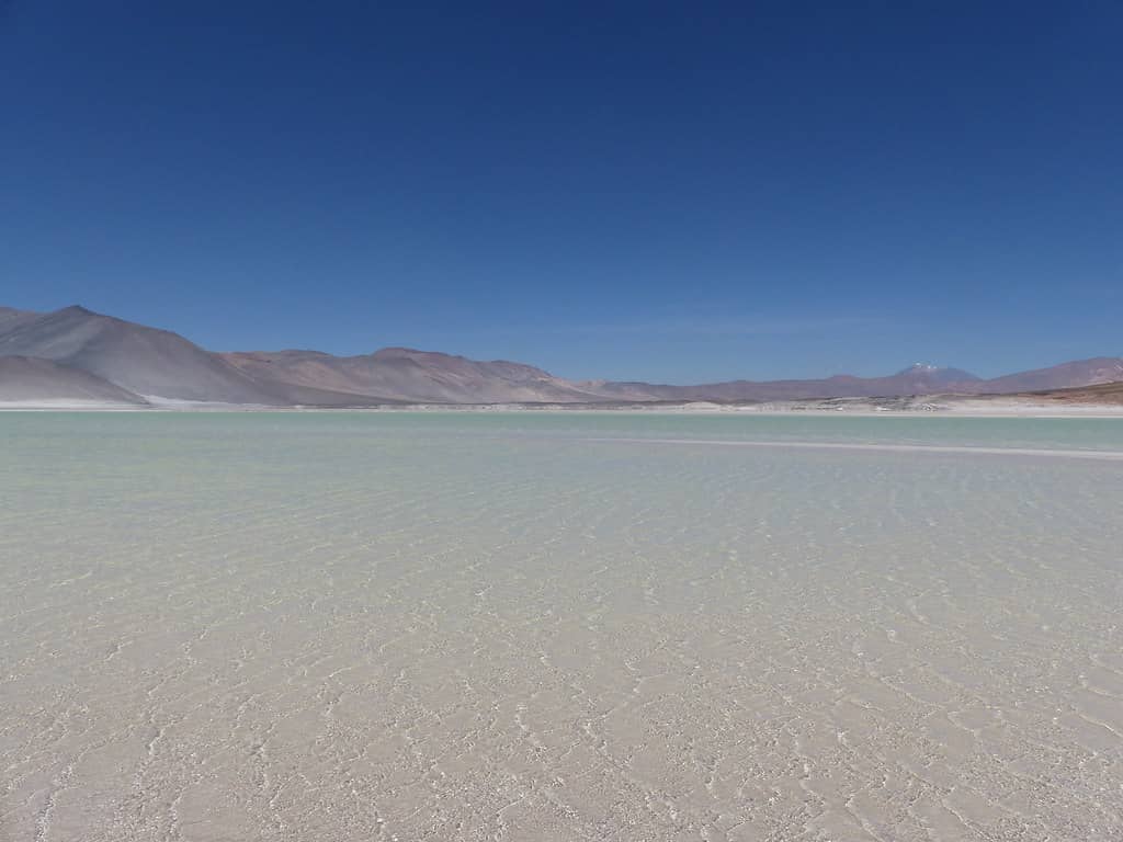 Salar de Talar Salt Flat