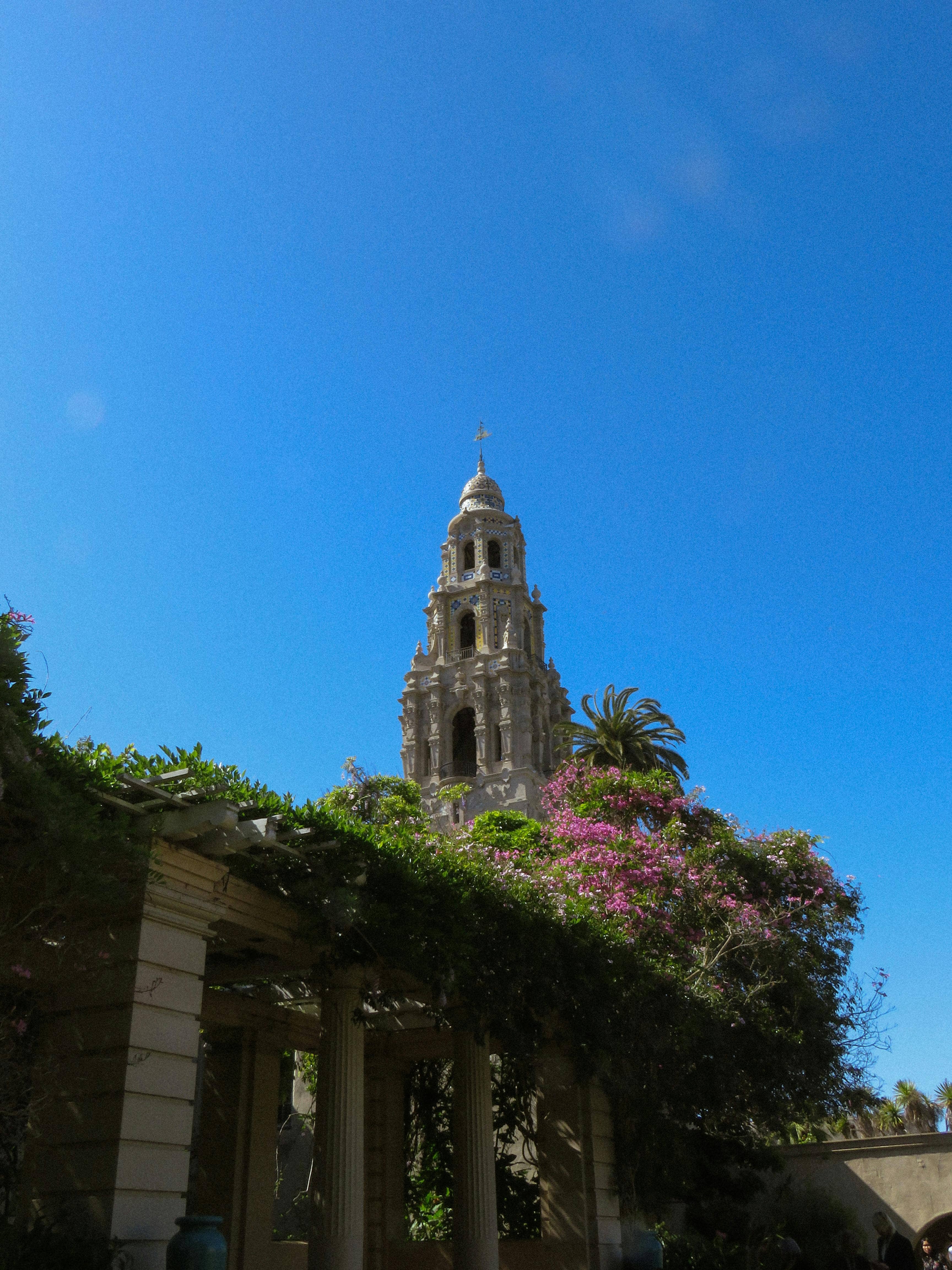 Panoramic Tower Views
