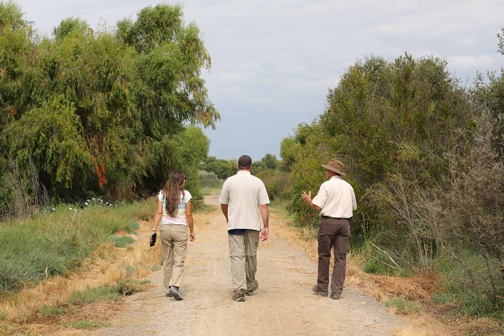 Tranquil Wetland Trails