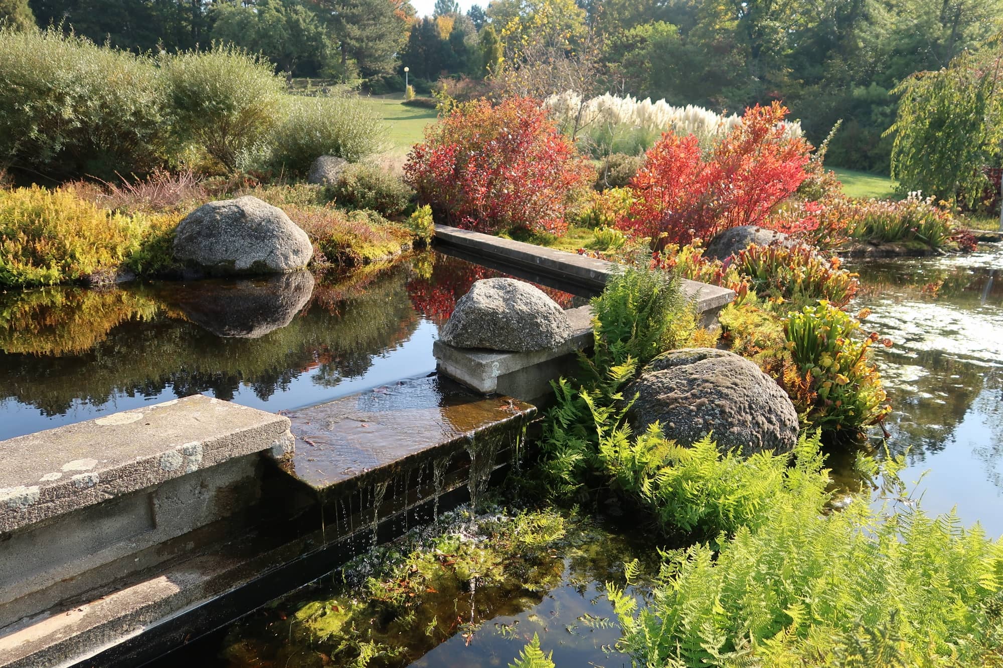 The Lake and Gardens