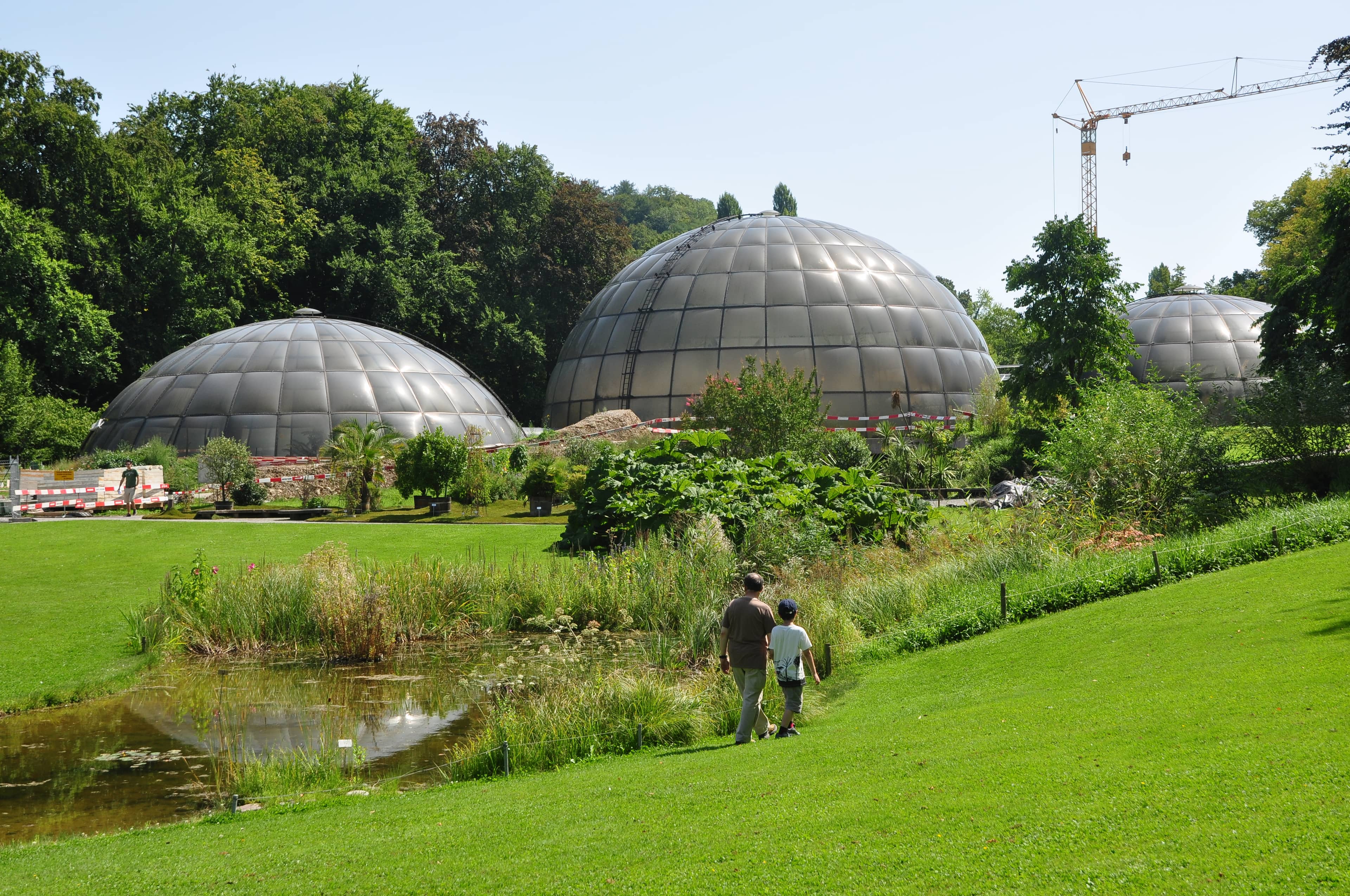 Peaceful Park and Pond