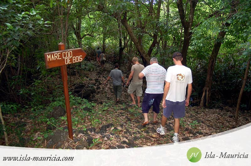 Scenic Walking Trails