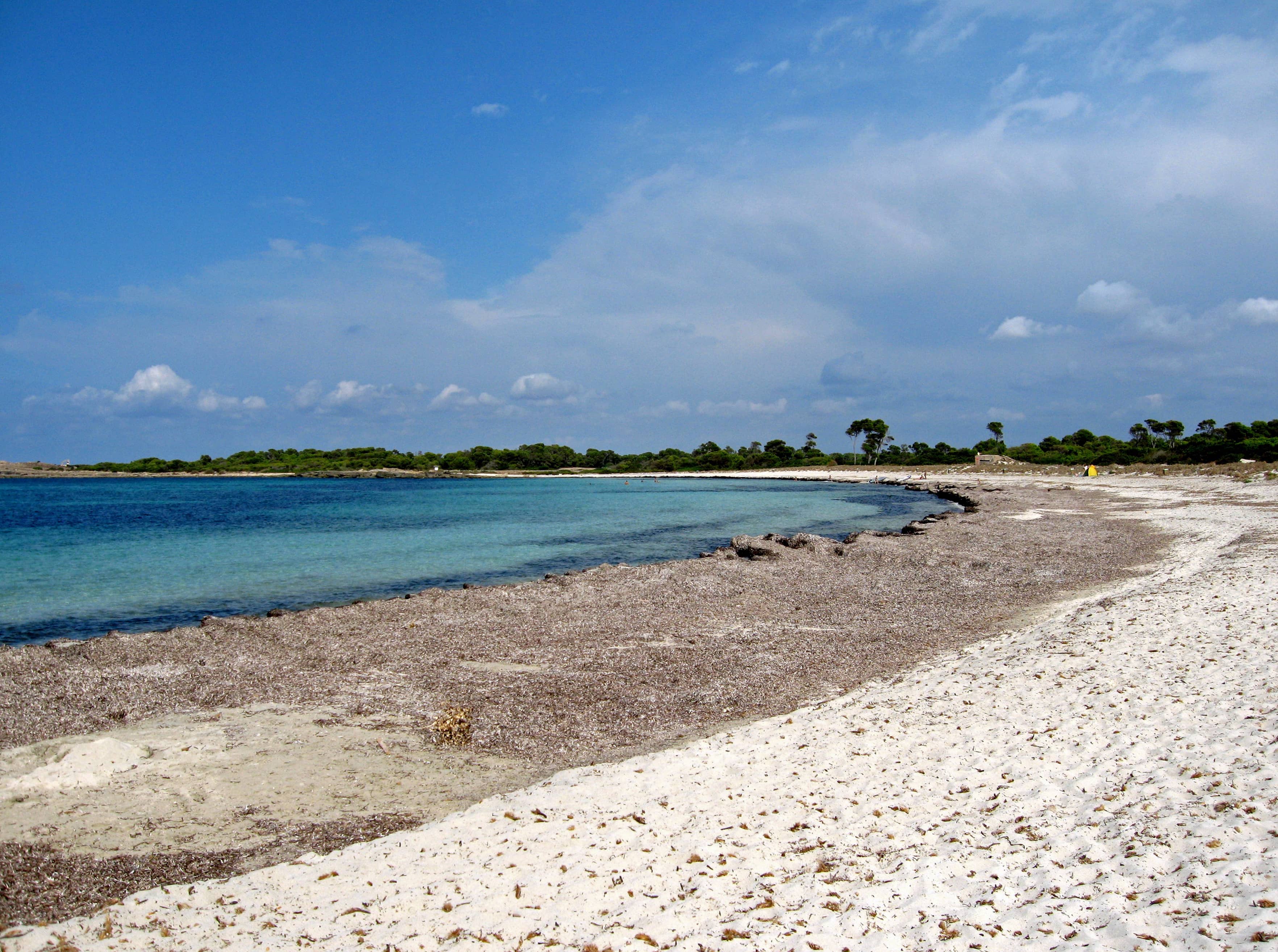 Secluded Coves and Beaches