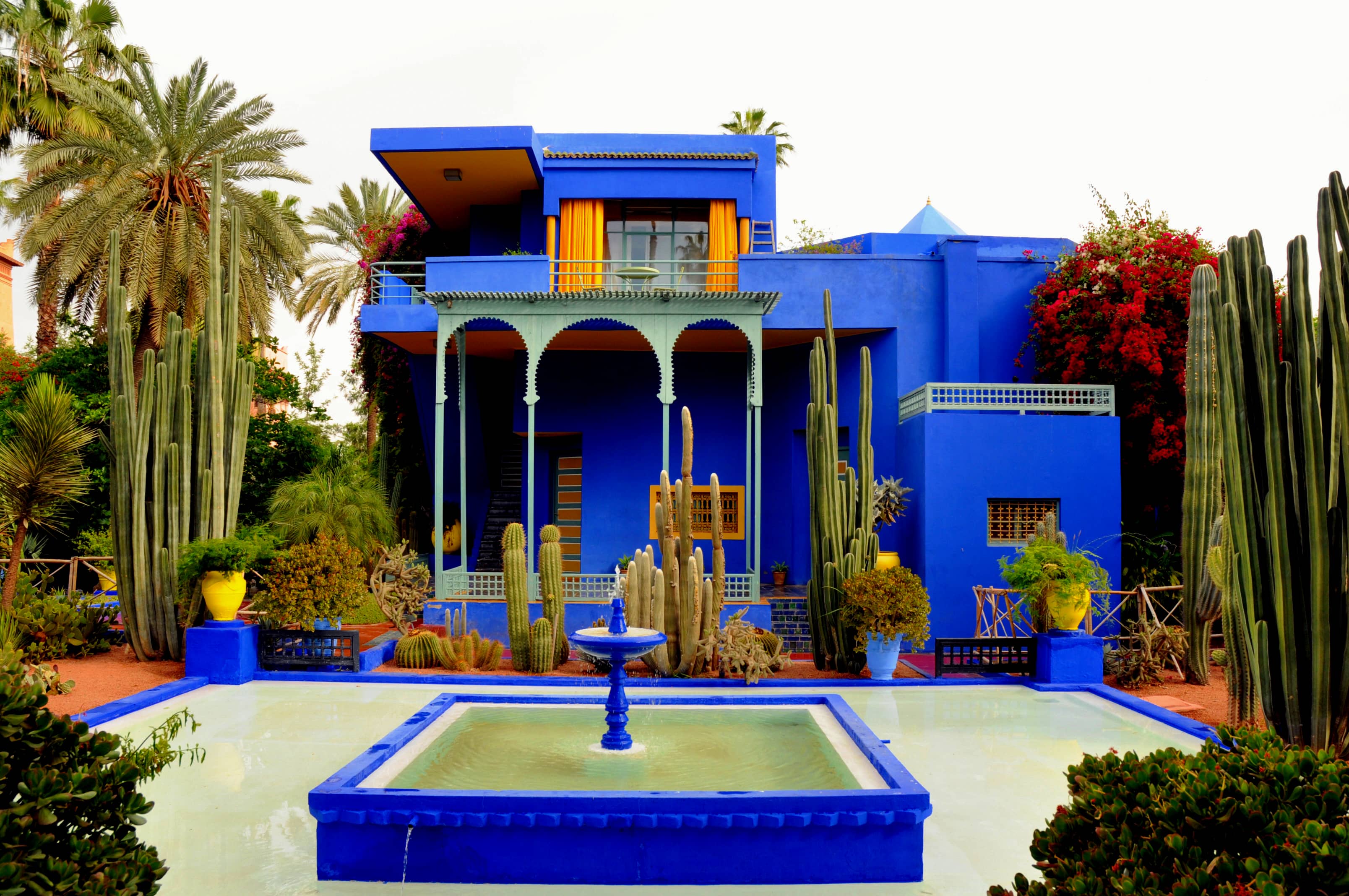 Jardin Majorelle's Blue