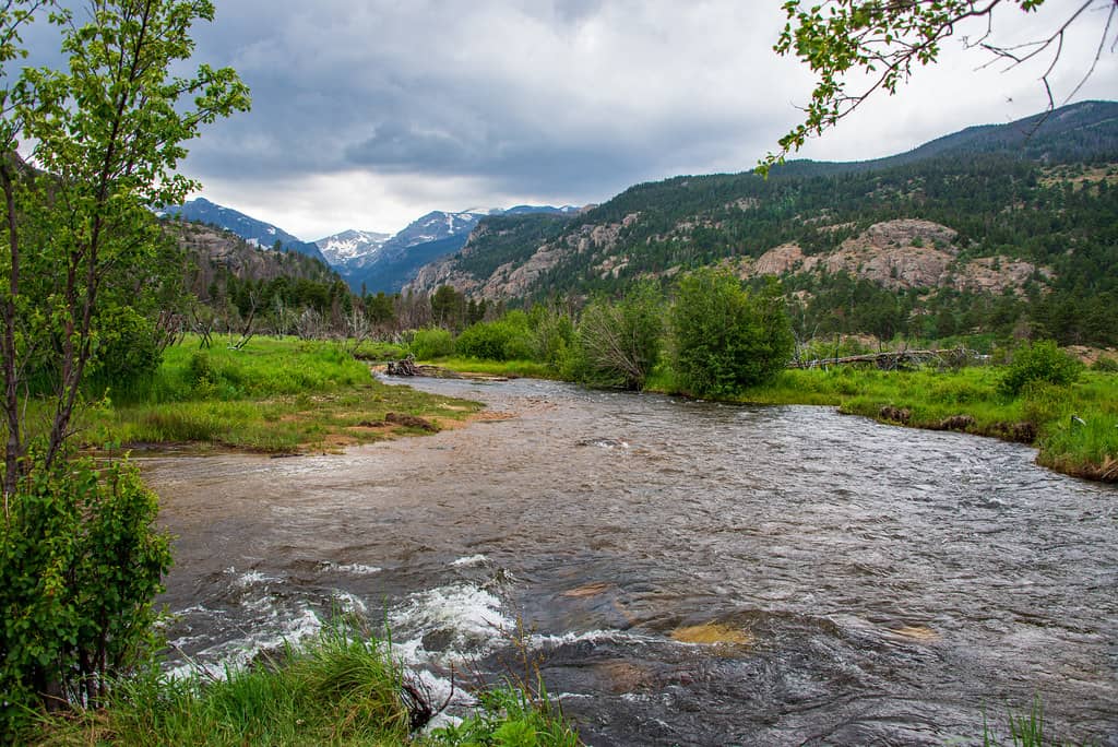 Big Thompson River Views