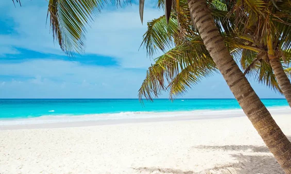 Relaxing Beachfronts