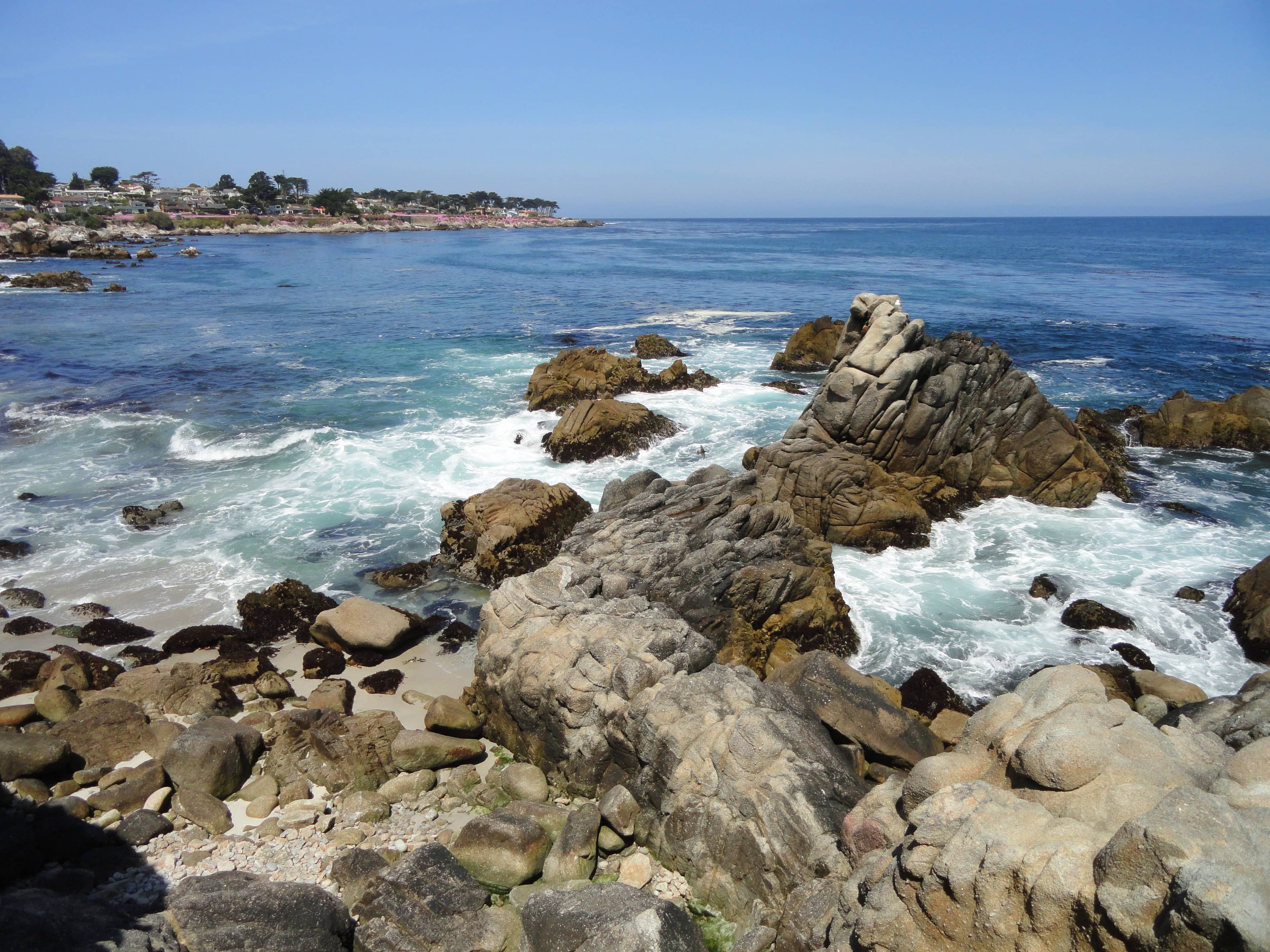 Rocky Shoreline & Tide Pools