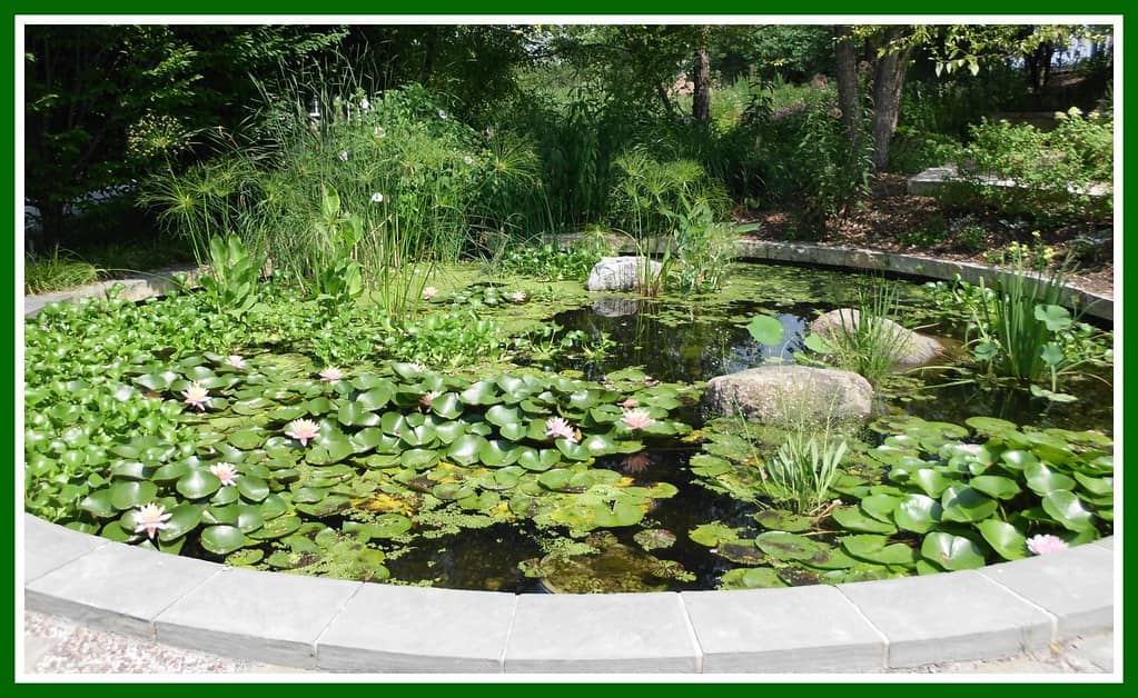 Water Gardens