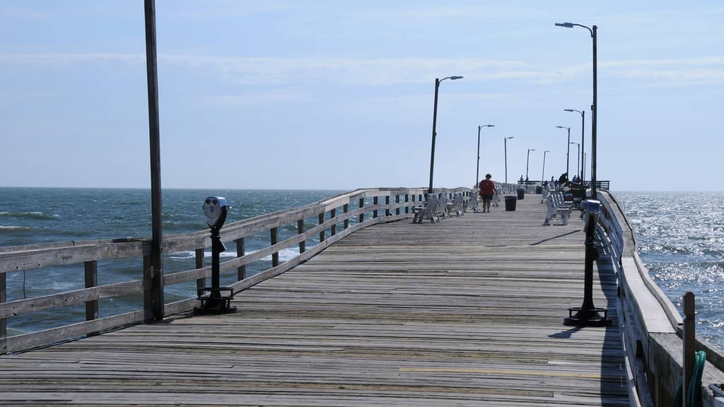 Scenic Boardwalk Views
