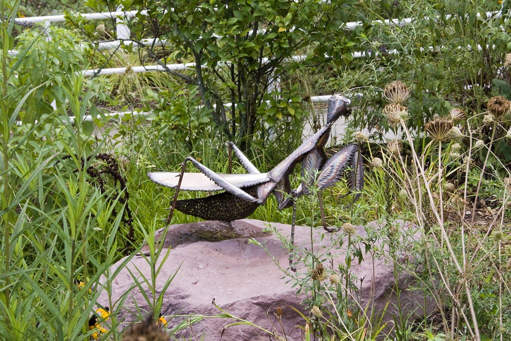 Magic Wings Butterfly Conservatory