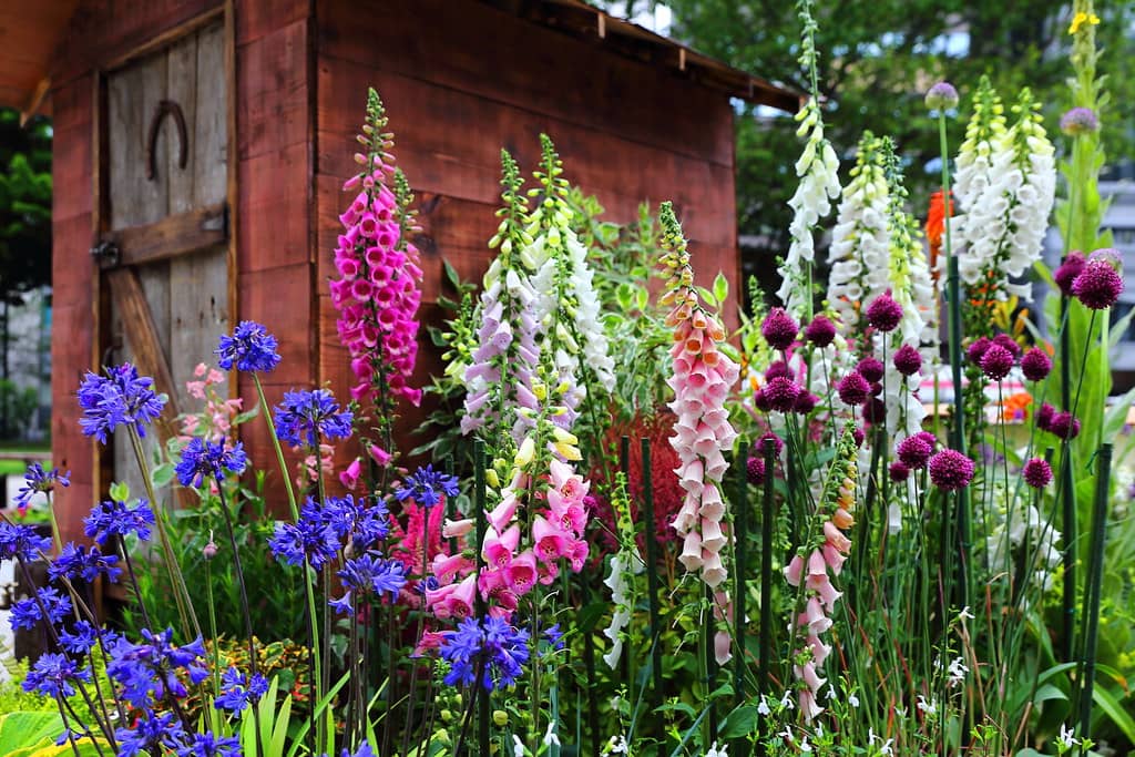 Meticulously Landscaped Gardens