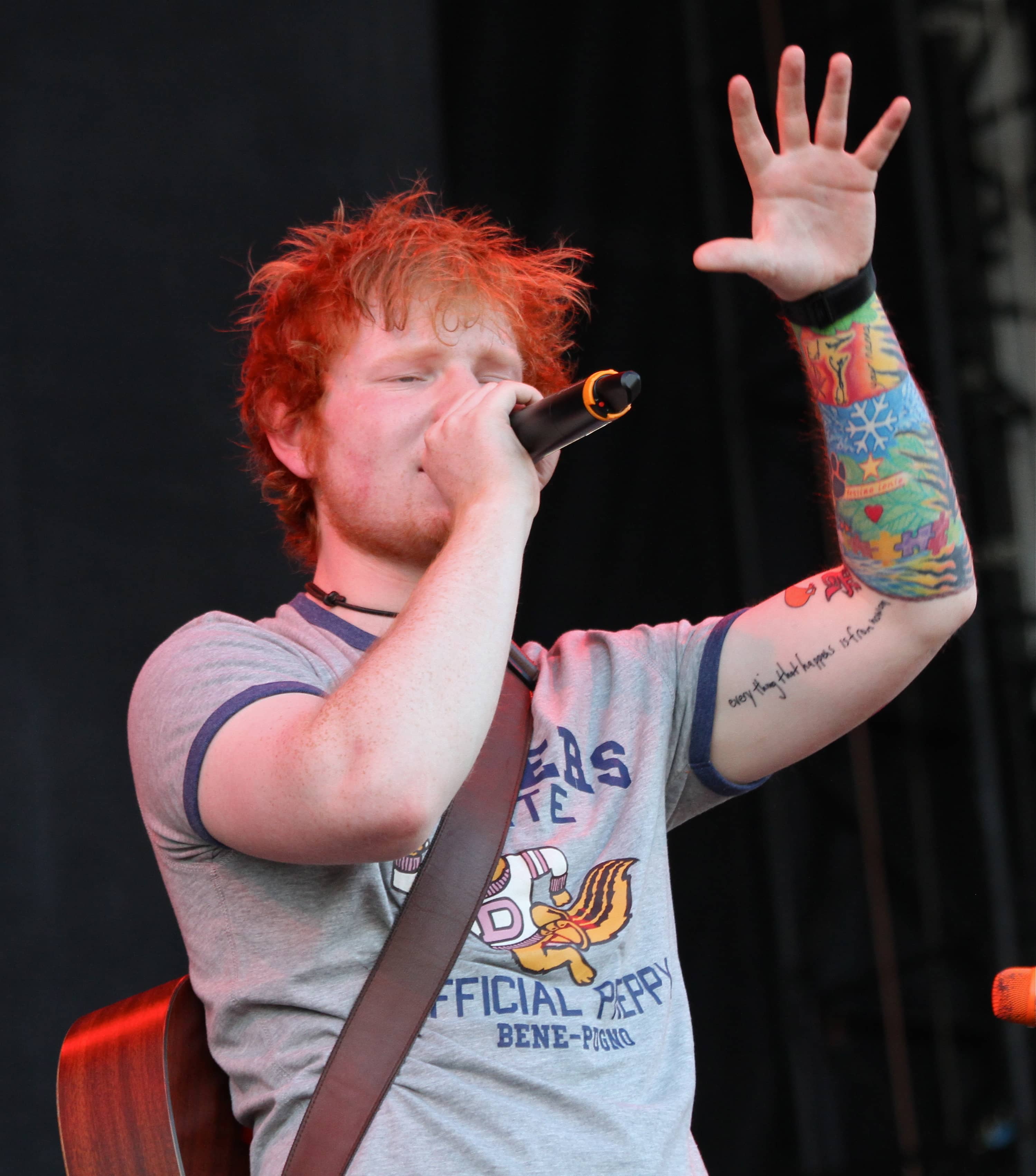 Diverse Musical Lineup