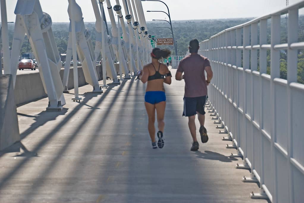 Pedestrian and Bike Path