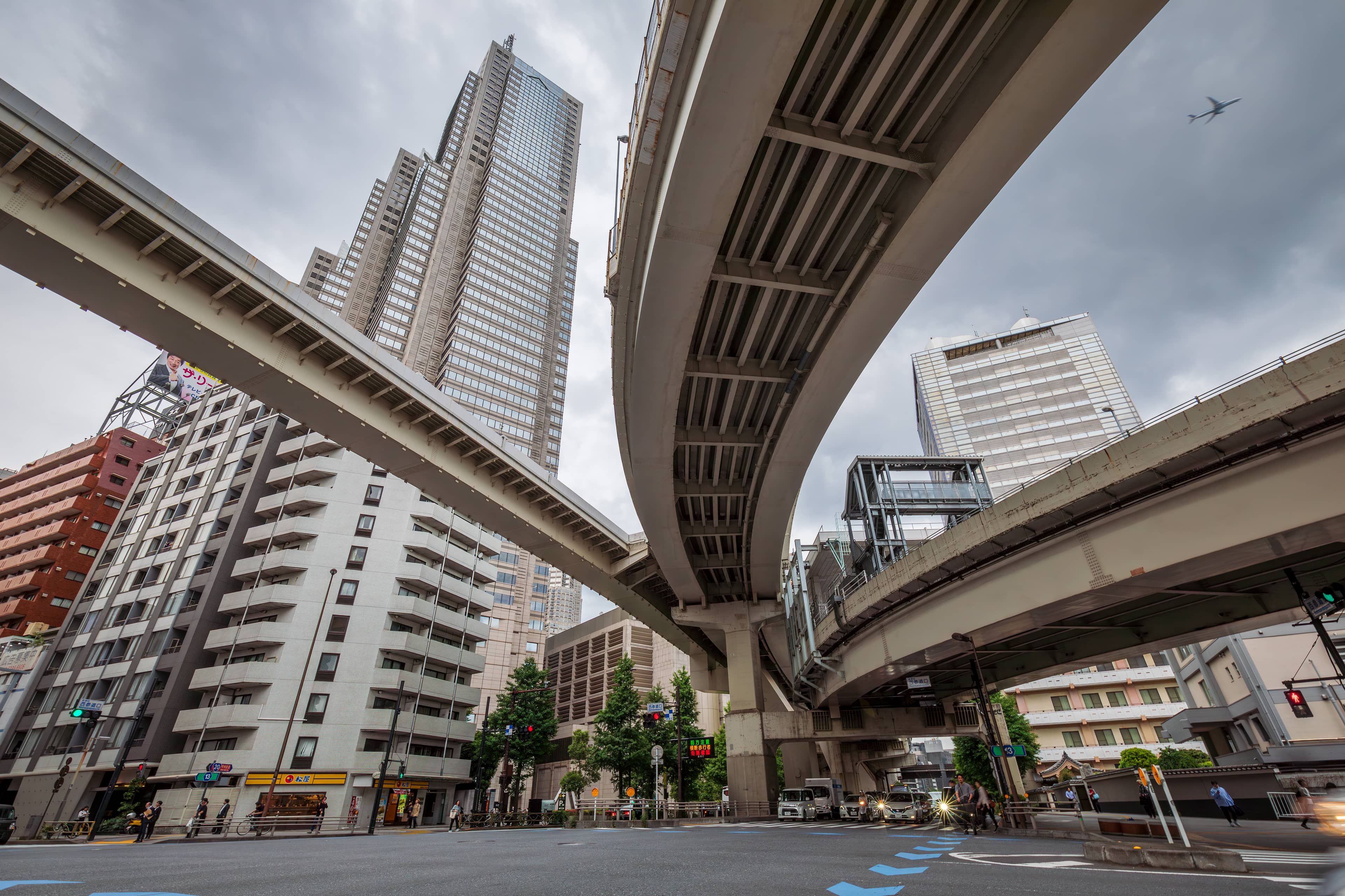 Shinjuku Central Park's Greenery