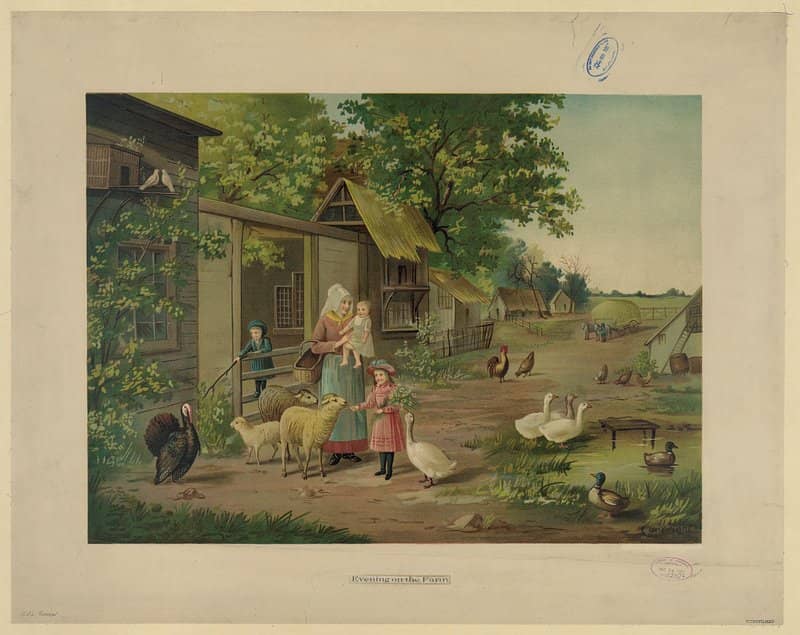 Unique Onsite Museum