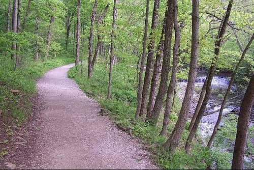 Scenic Walking Trails