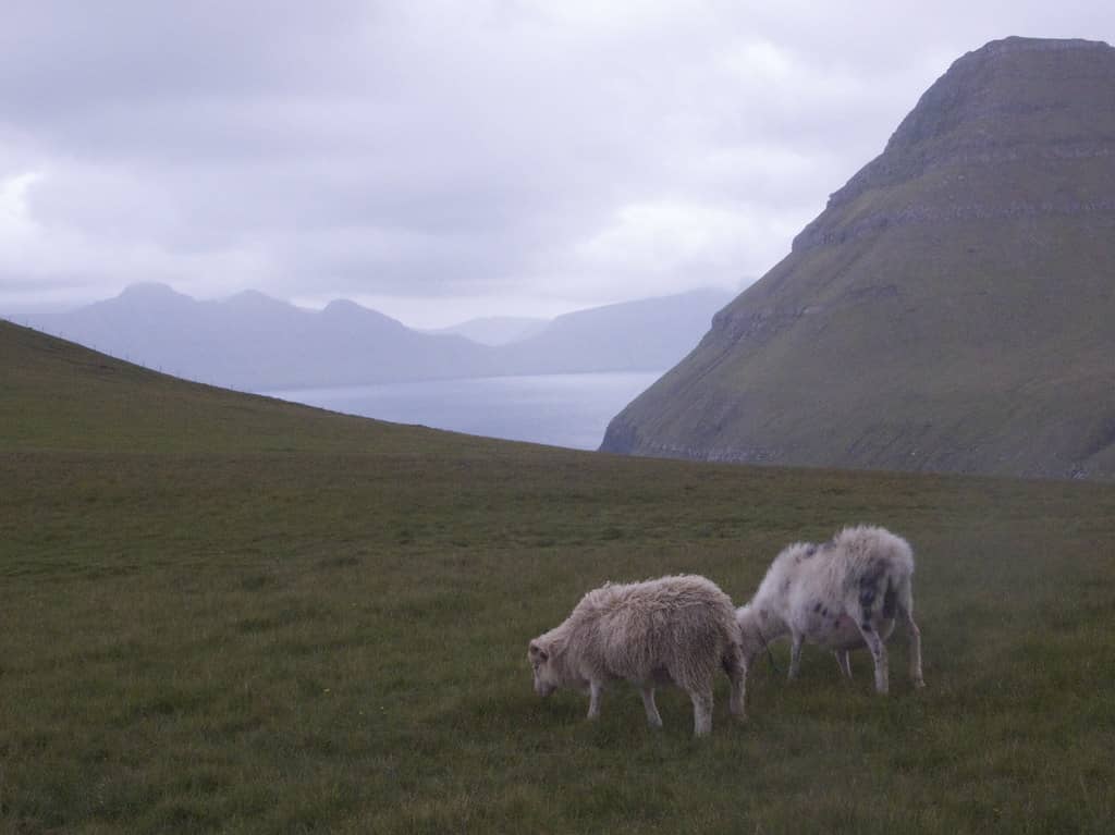 Cliffside Hiking Trails