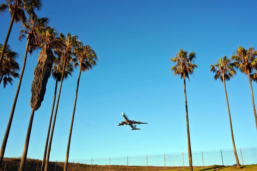 Expansive Grassy Area