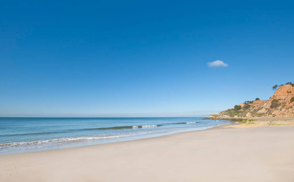 Crystal-Clear Waters