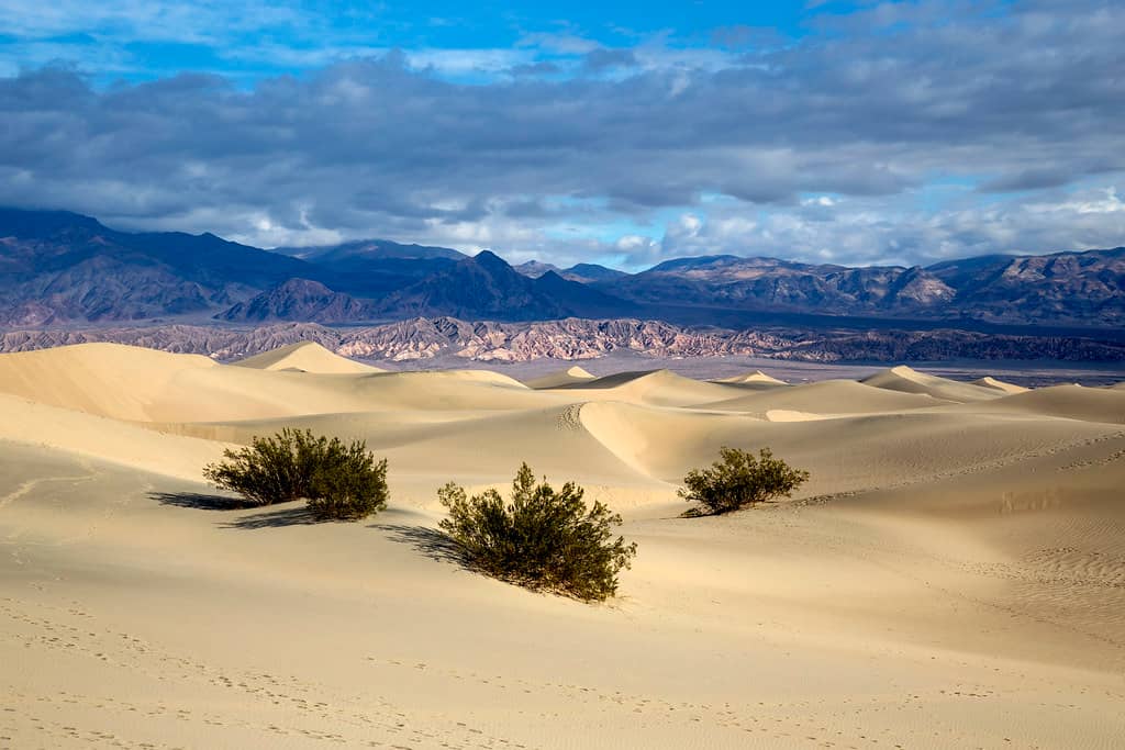 Mesquite Flat Sand Dunes