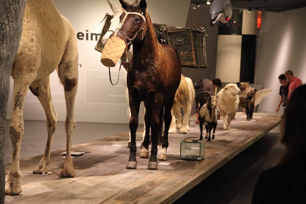 City's Transformation