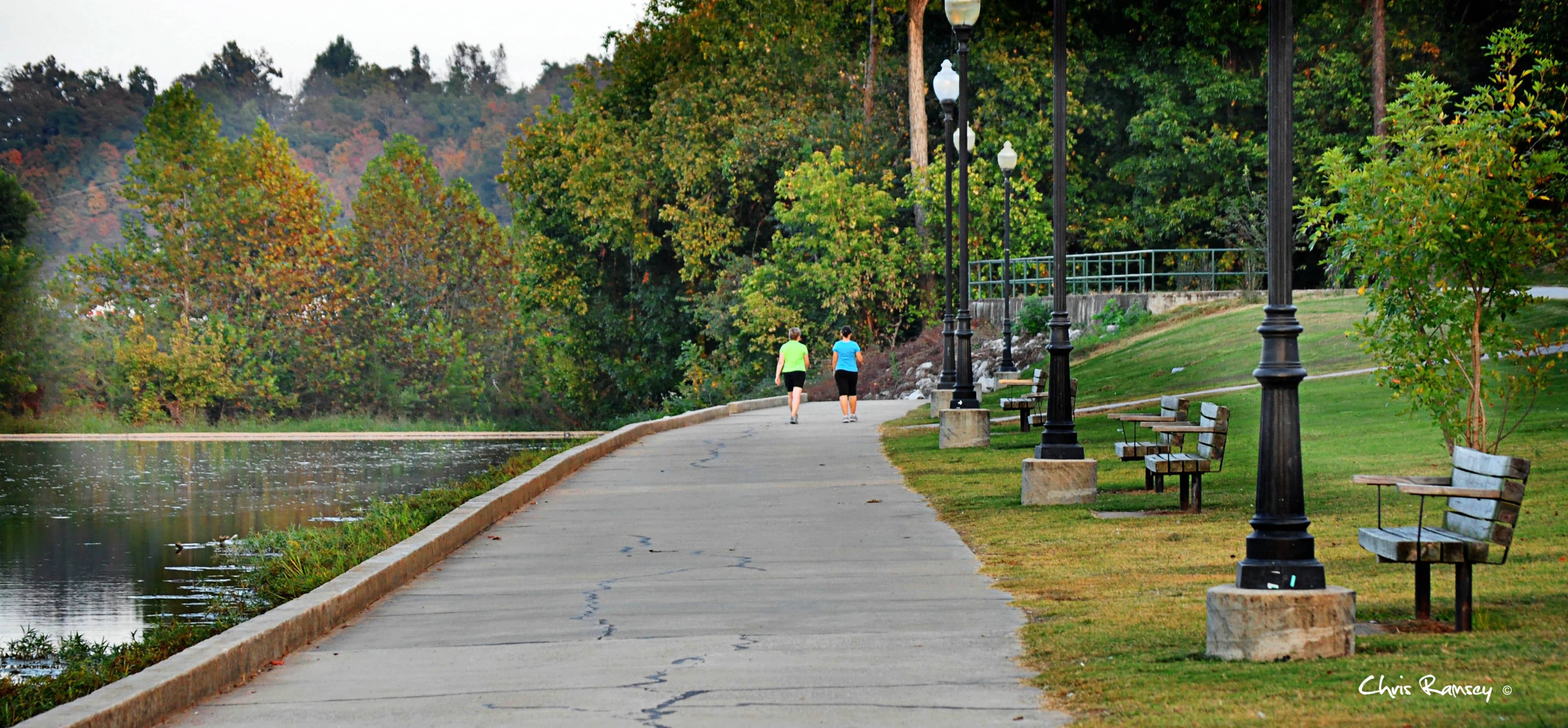 Scenic Lakeside Walks