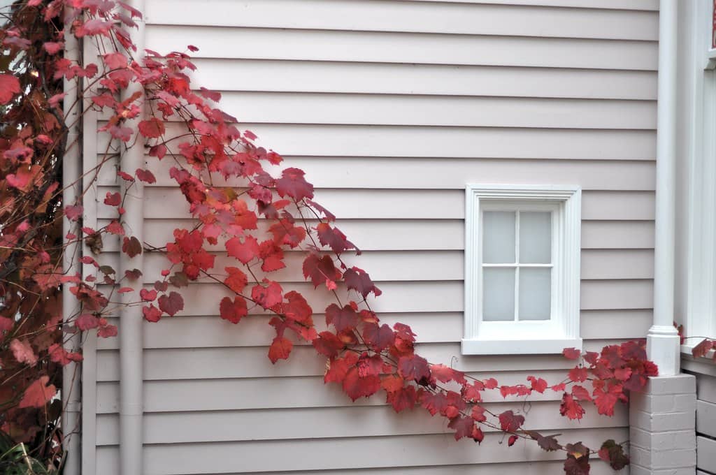 The Historic Heide I