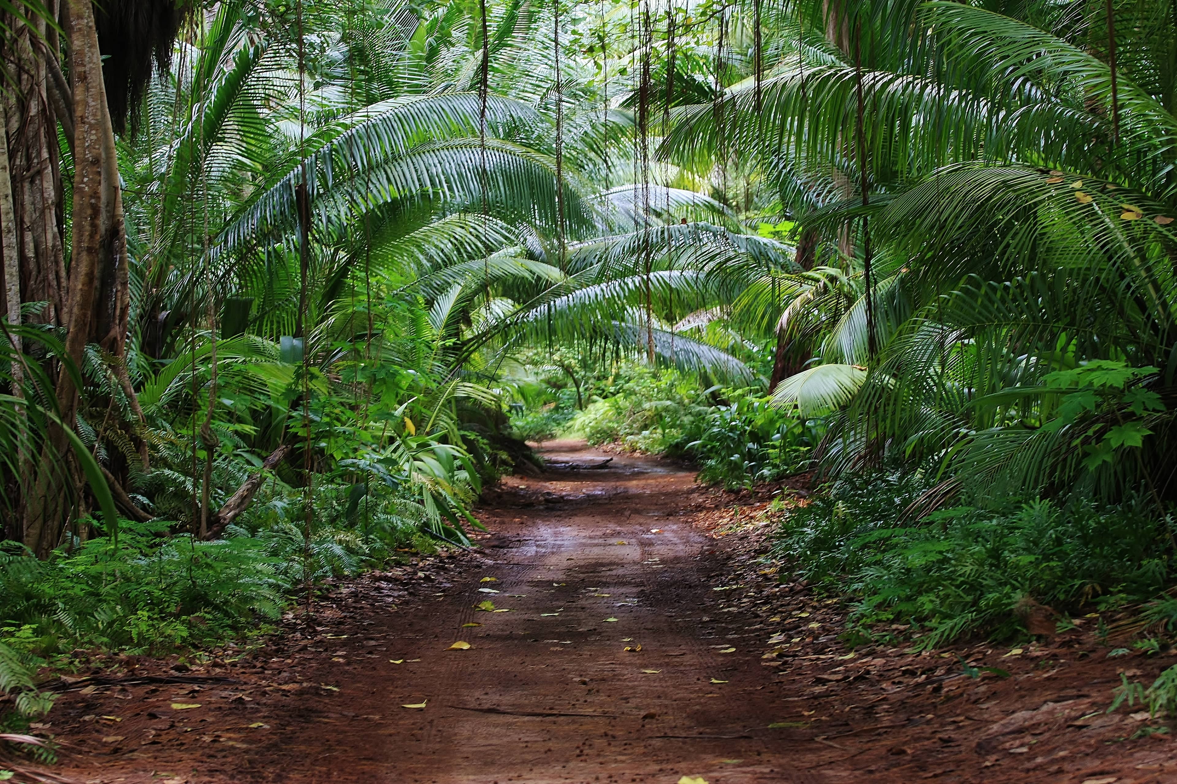 Self-Sustaining Island Farm
