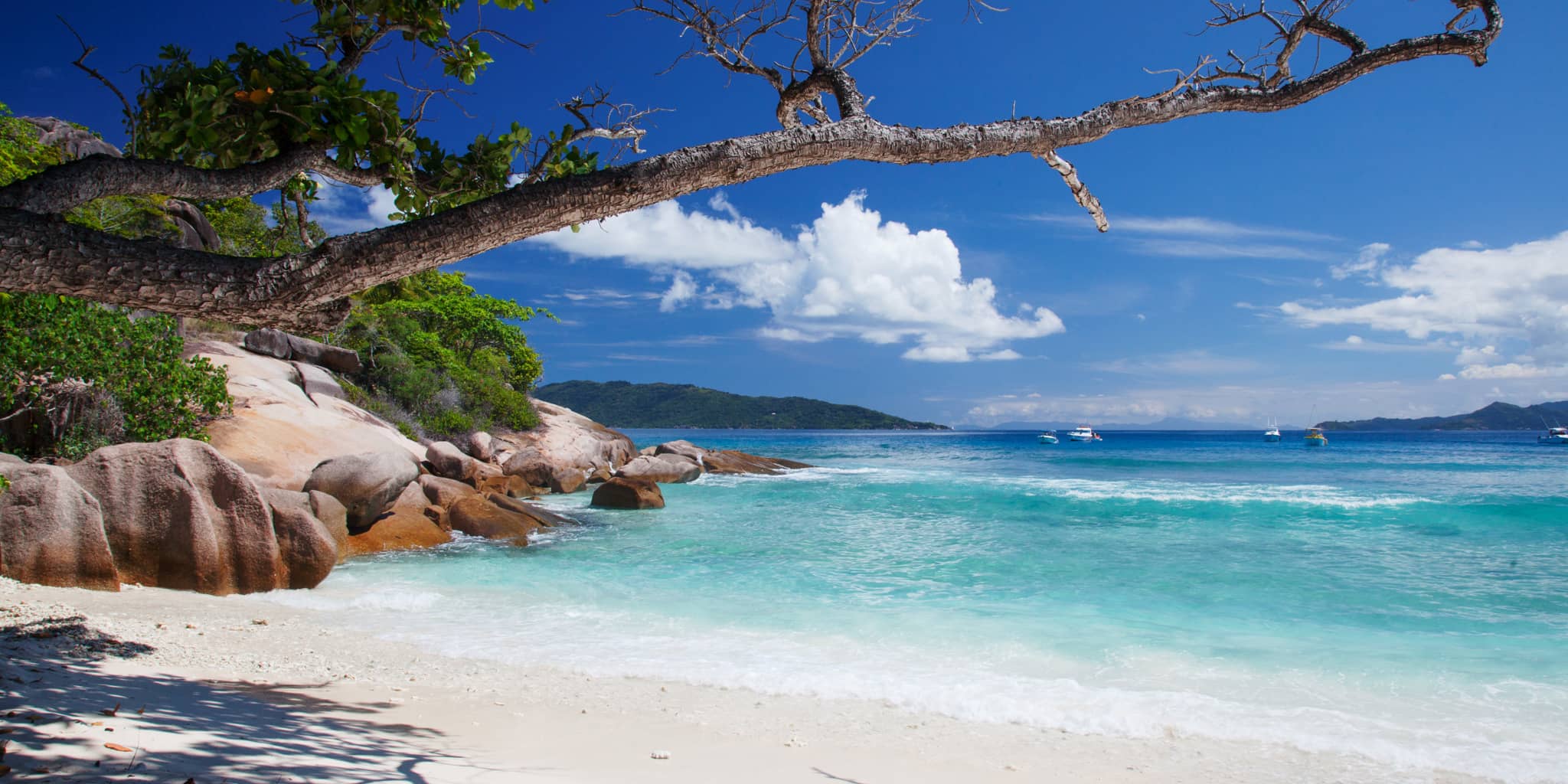 Nightly Beach Bonfires