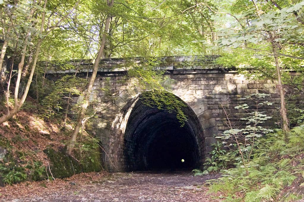 Cool Temperatures Year-Round