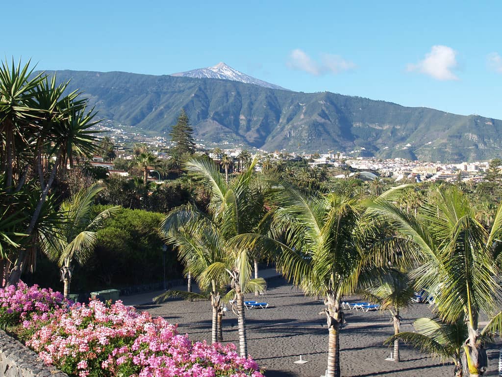 Lush Tropical Gardens