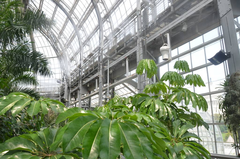 Botanical Learning Center