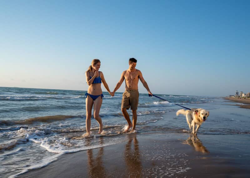 Uncrowded Beach Access