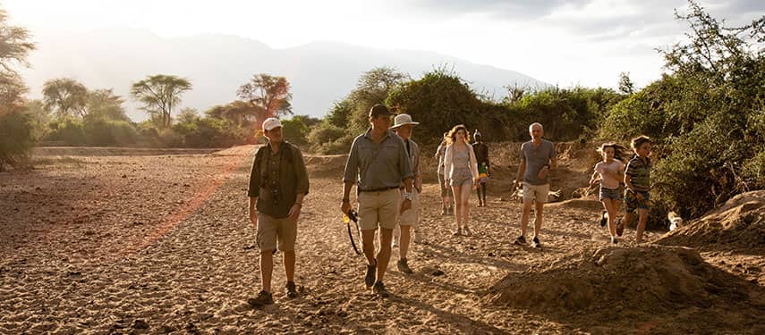 Peaceful Walking Paths