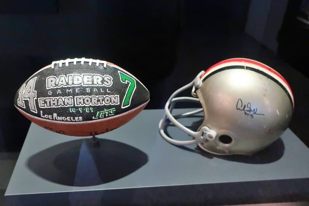 Team Helmet Displays