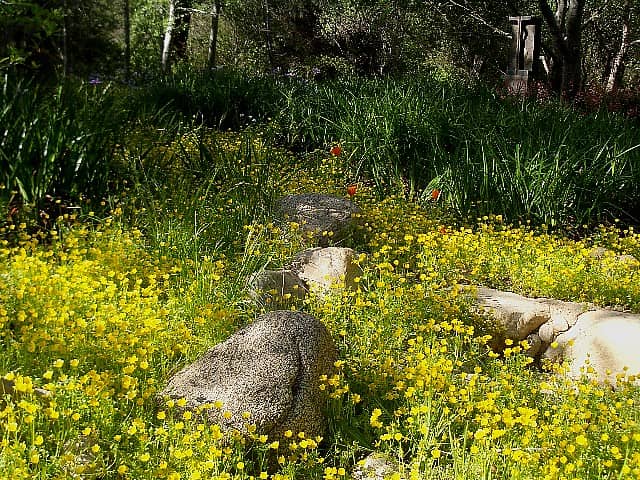 California Botanic Garden