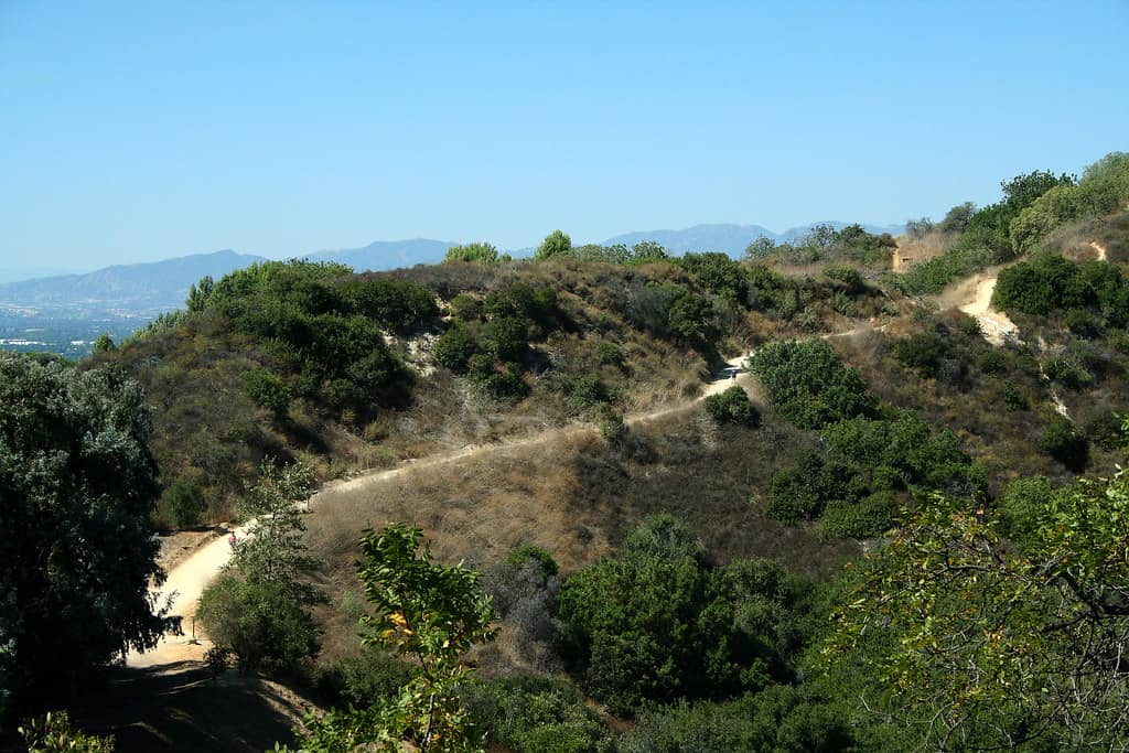 Coldwater Canyon Park Trails