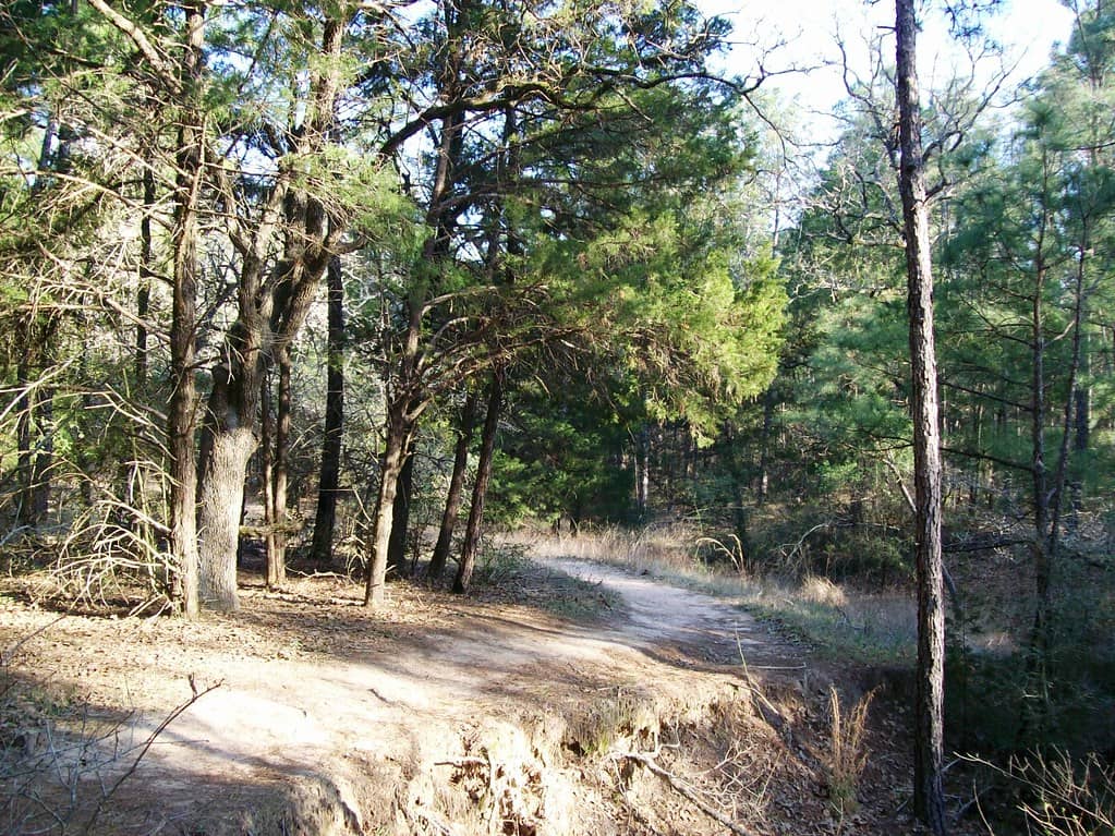 Nature Area Trails