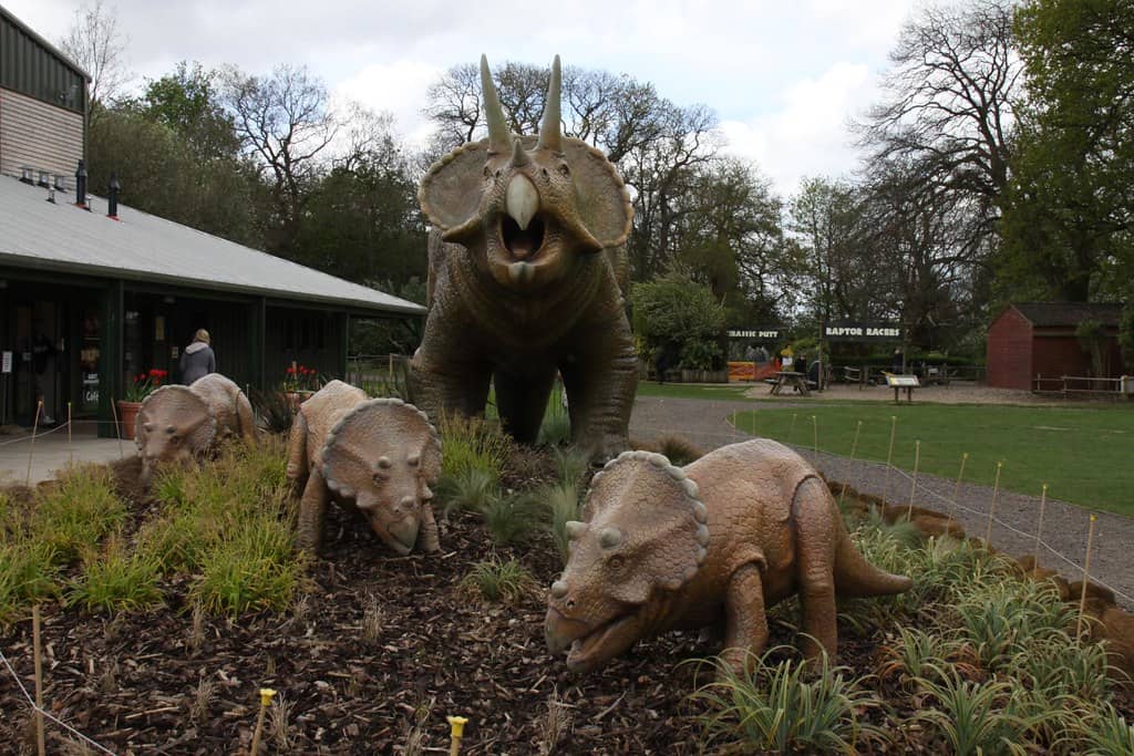 Interactive Activities